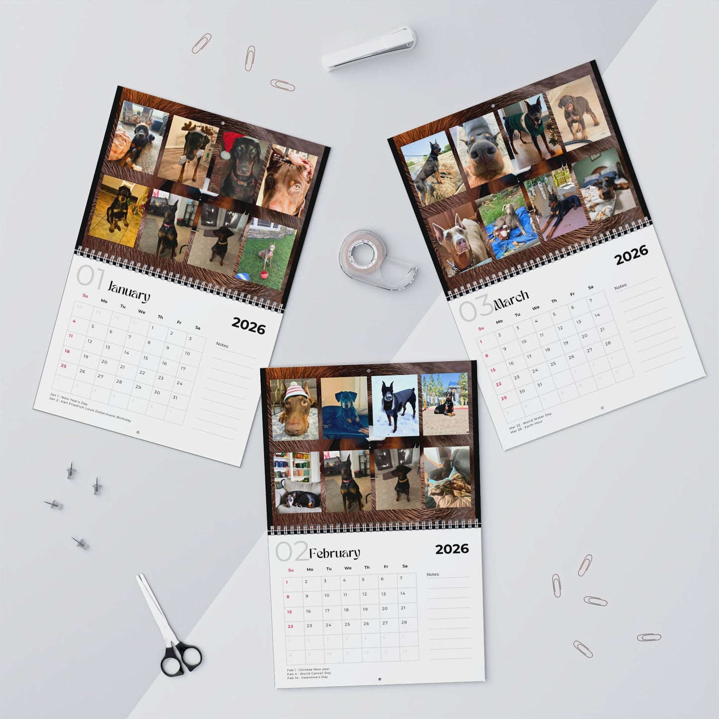 Edition 12 2026 Doberman Calendars