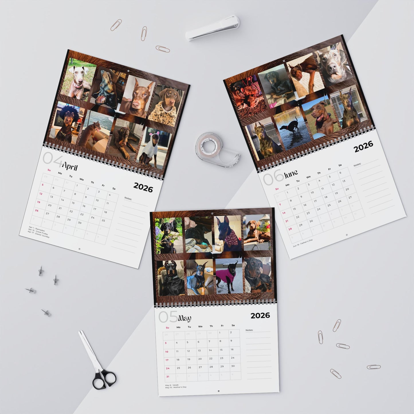 Edition 8 2026 Doberman Calendars