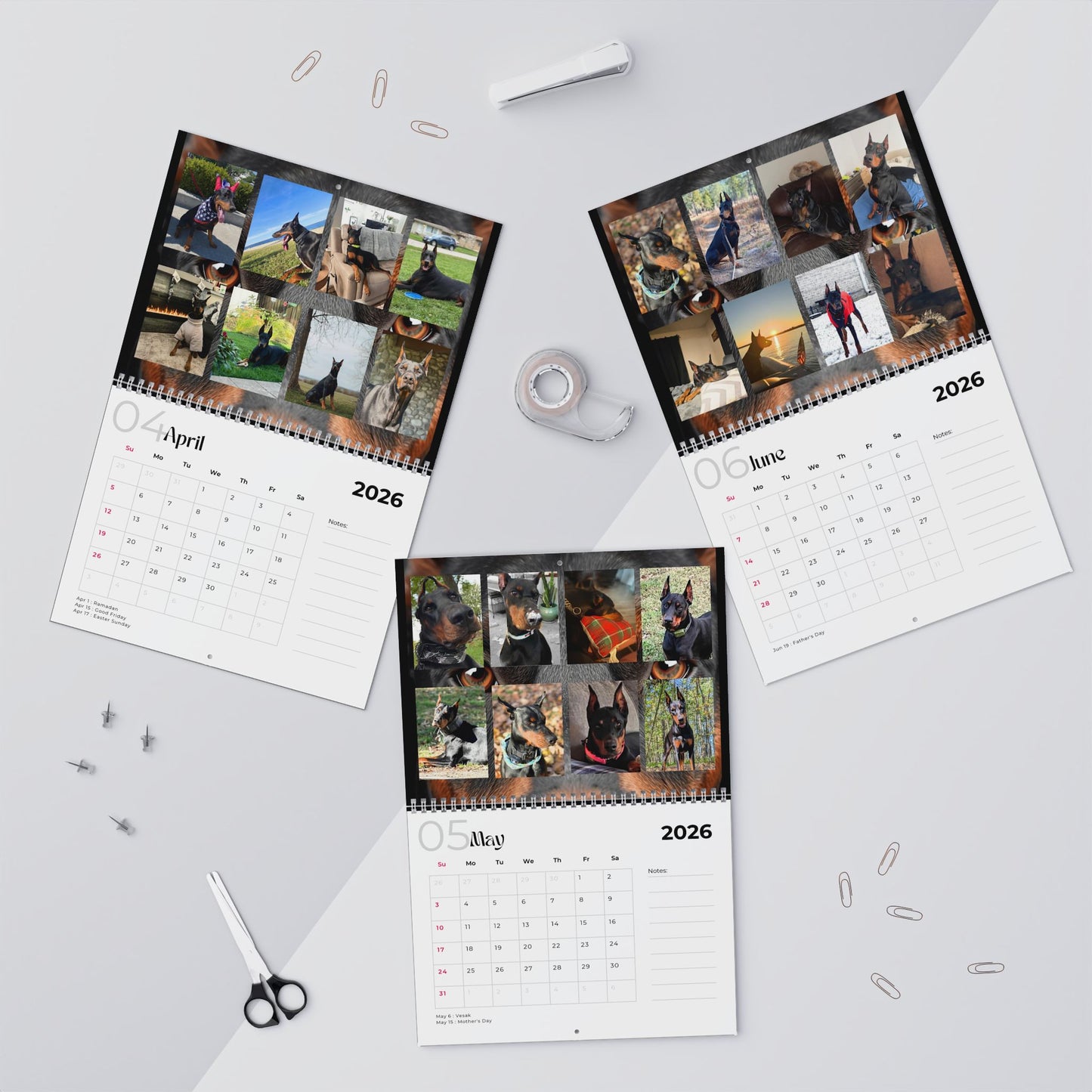 Edition 26 2026 Doberman Calendars