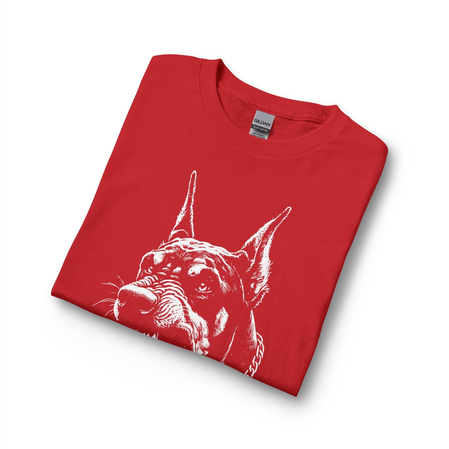 Protect 1  Long Sleeve Tee — Festive Doberman