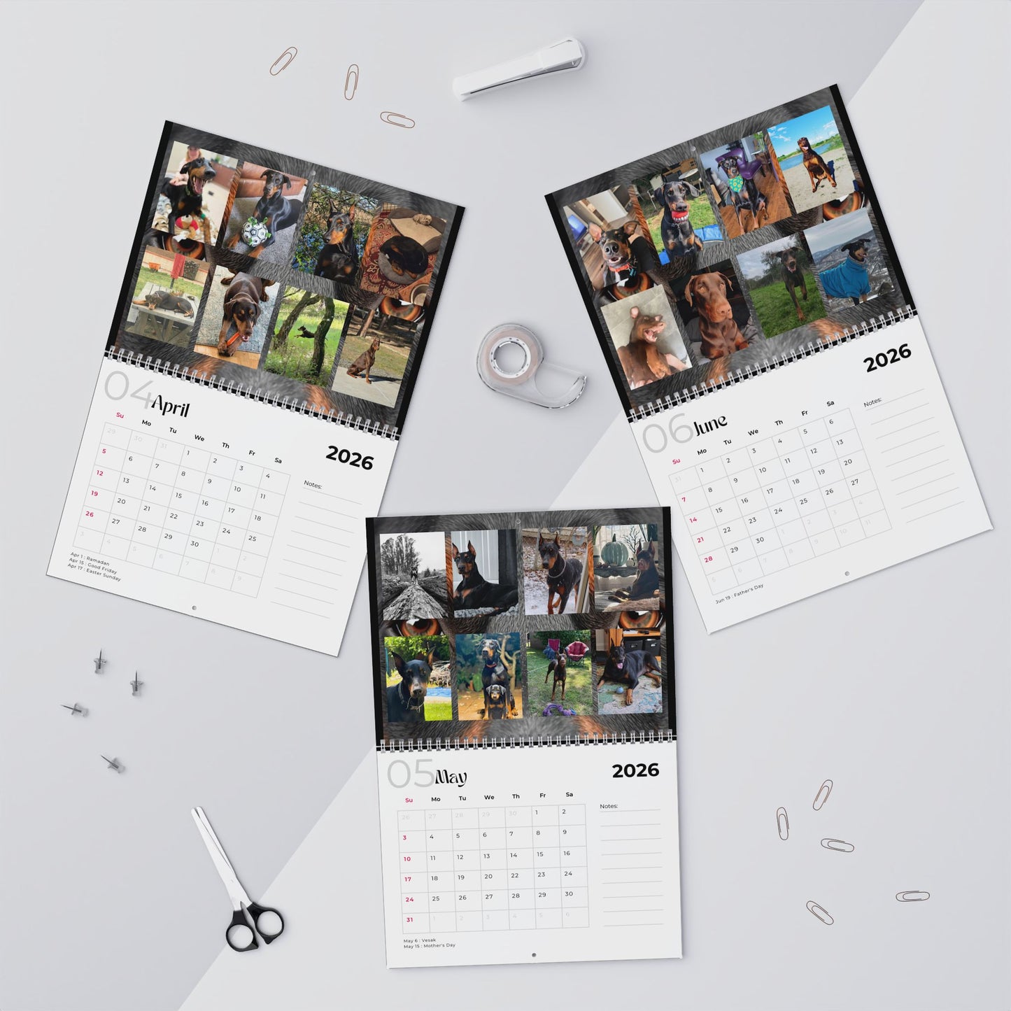 Edition 32 2026 Doberman Calendars