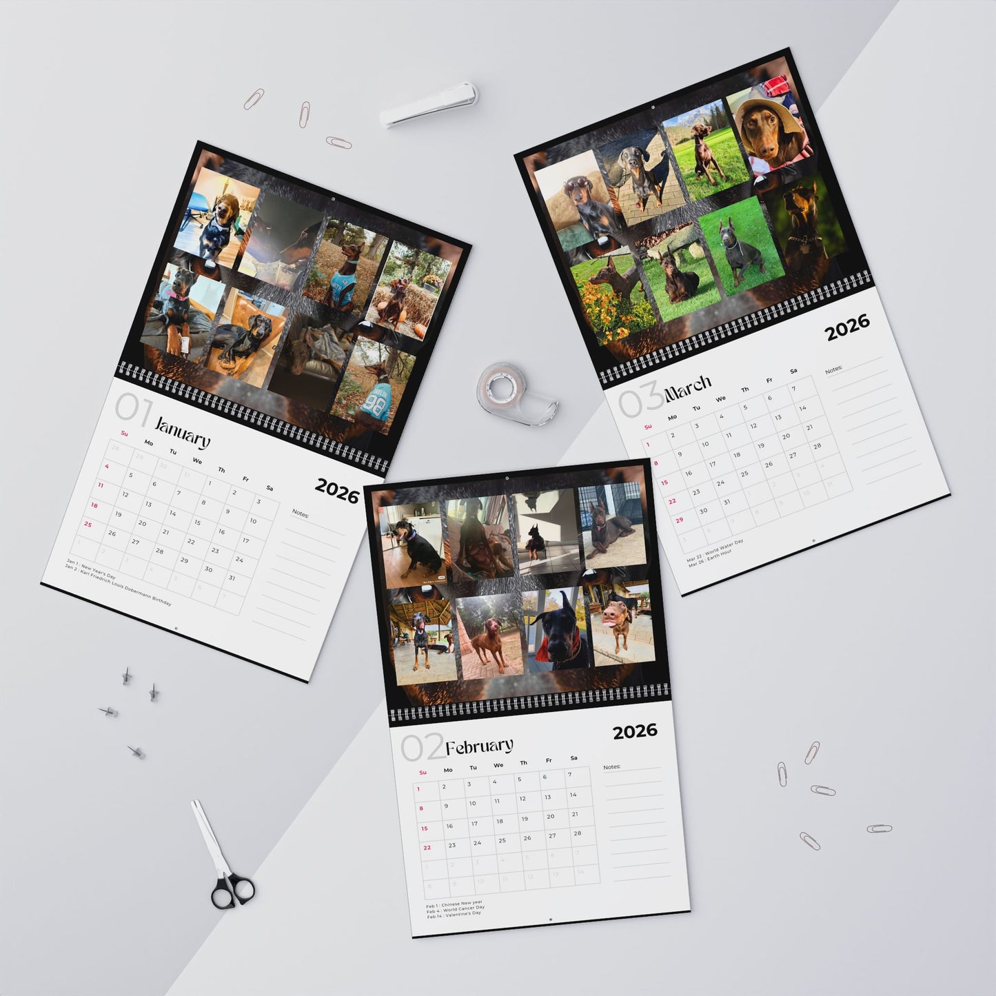 Edition 14 2026 Doberman Calendars