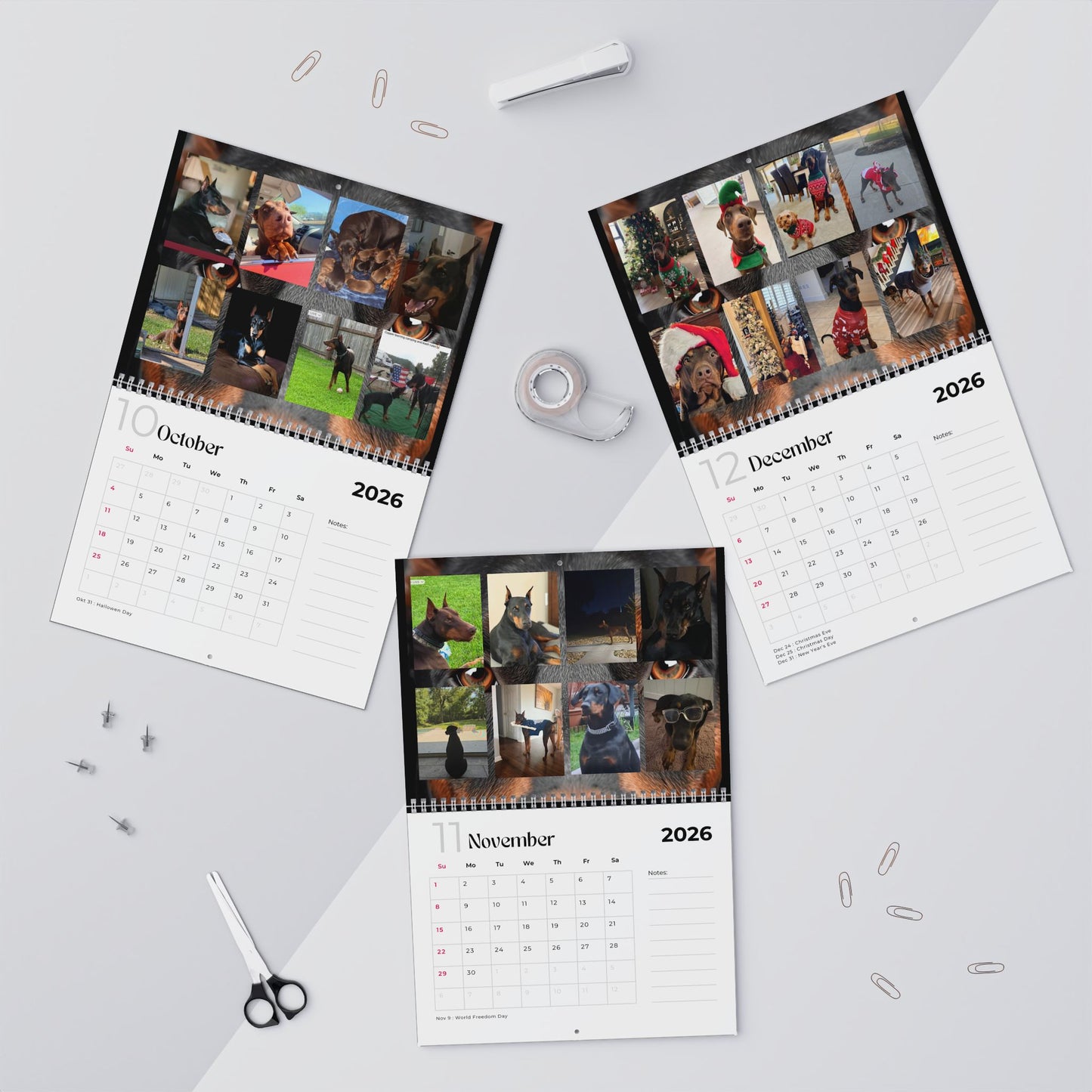 Edition 27 2026 Doberman Calendars