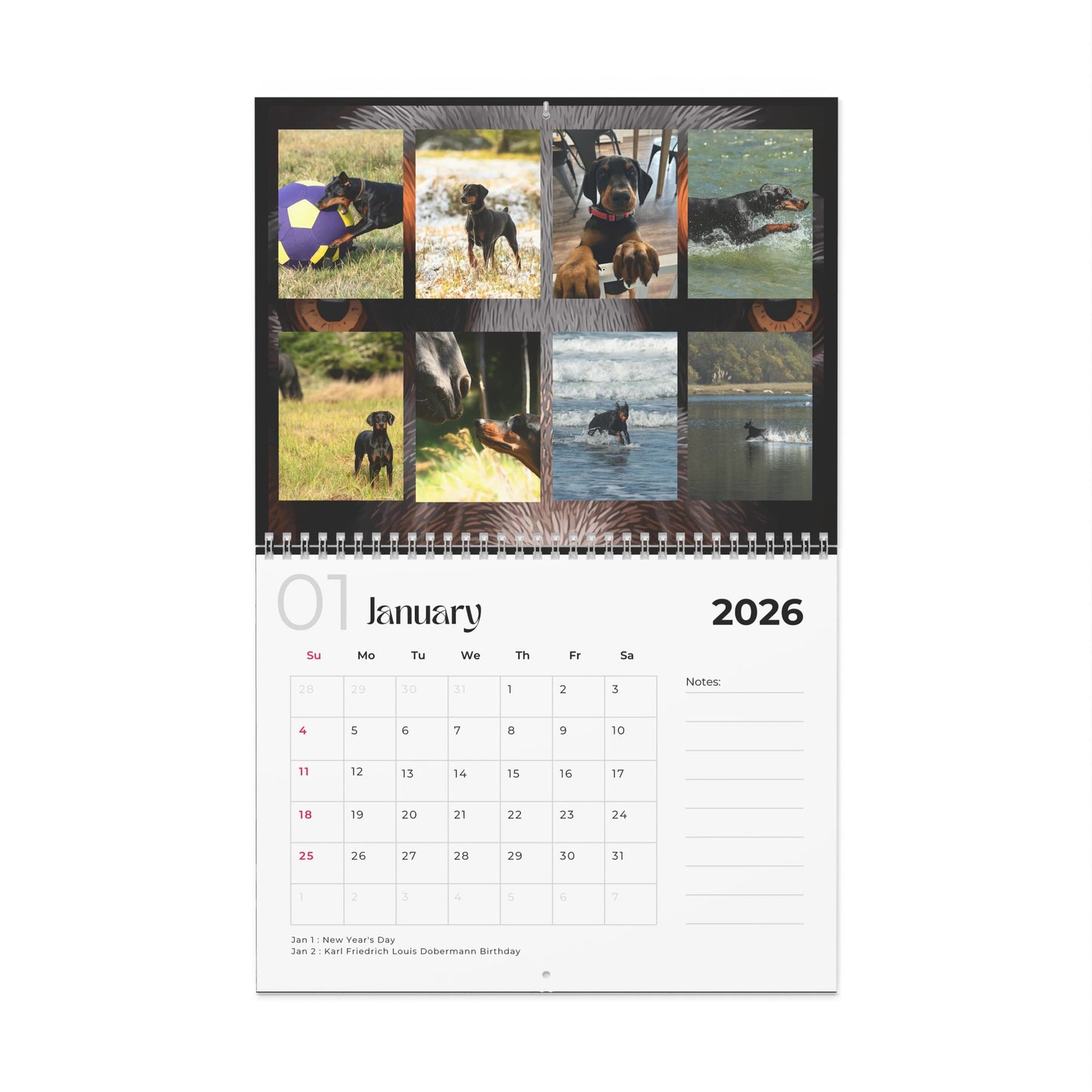 Edition 35 2026 Doberman Calendars