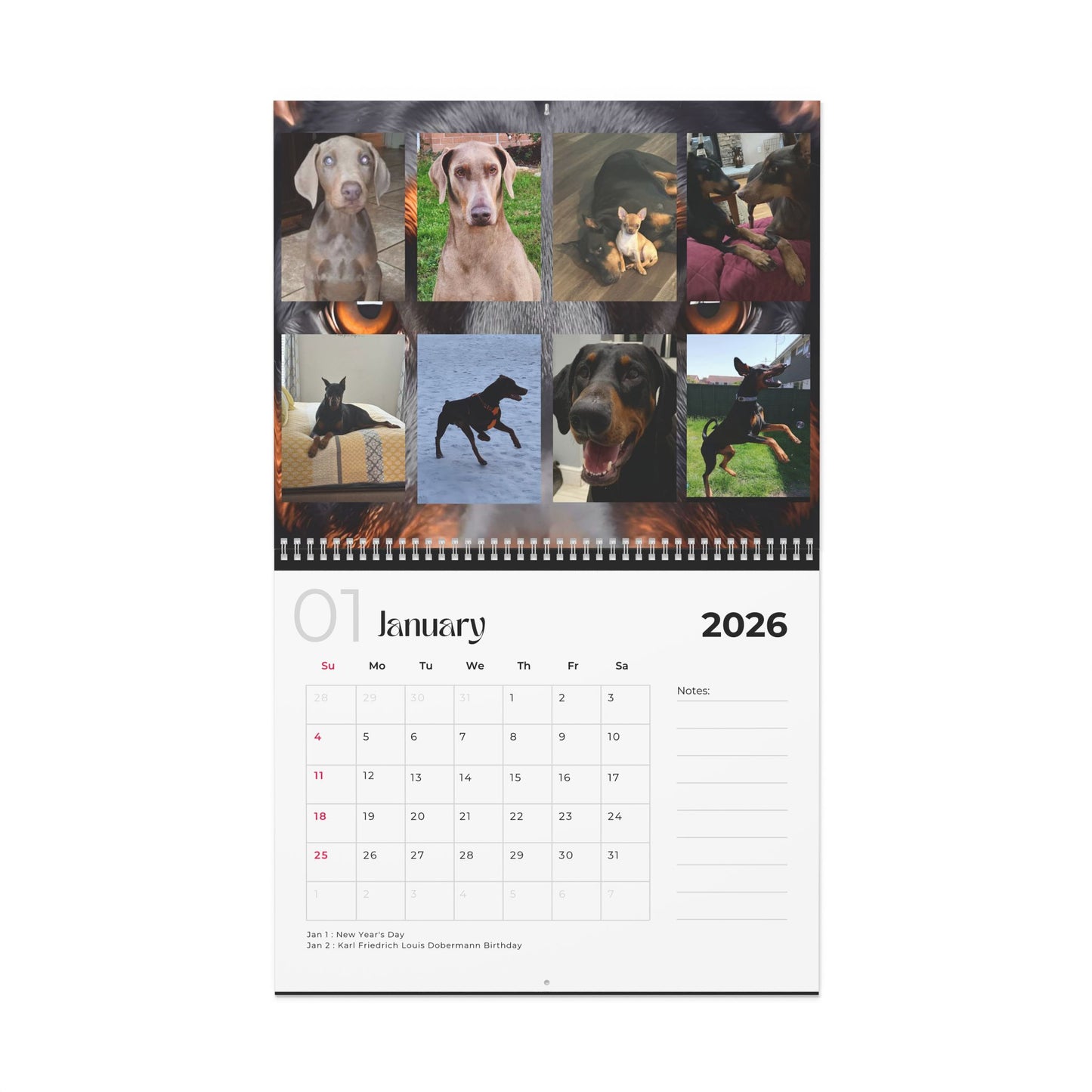 Edition 18 2026 Doberman Calendars