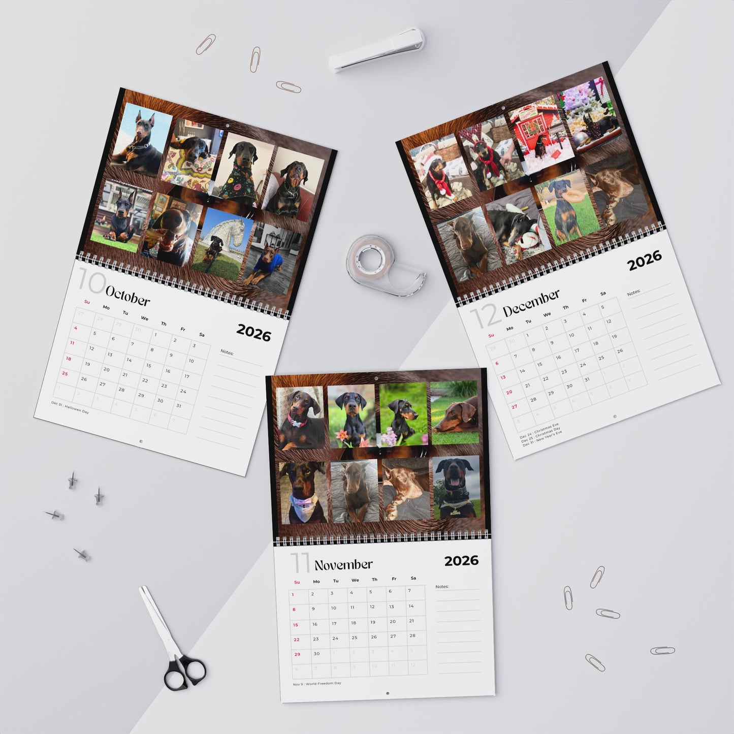 Edition 6 2026 Doberman Calendars