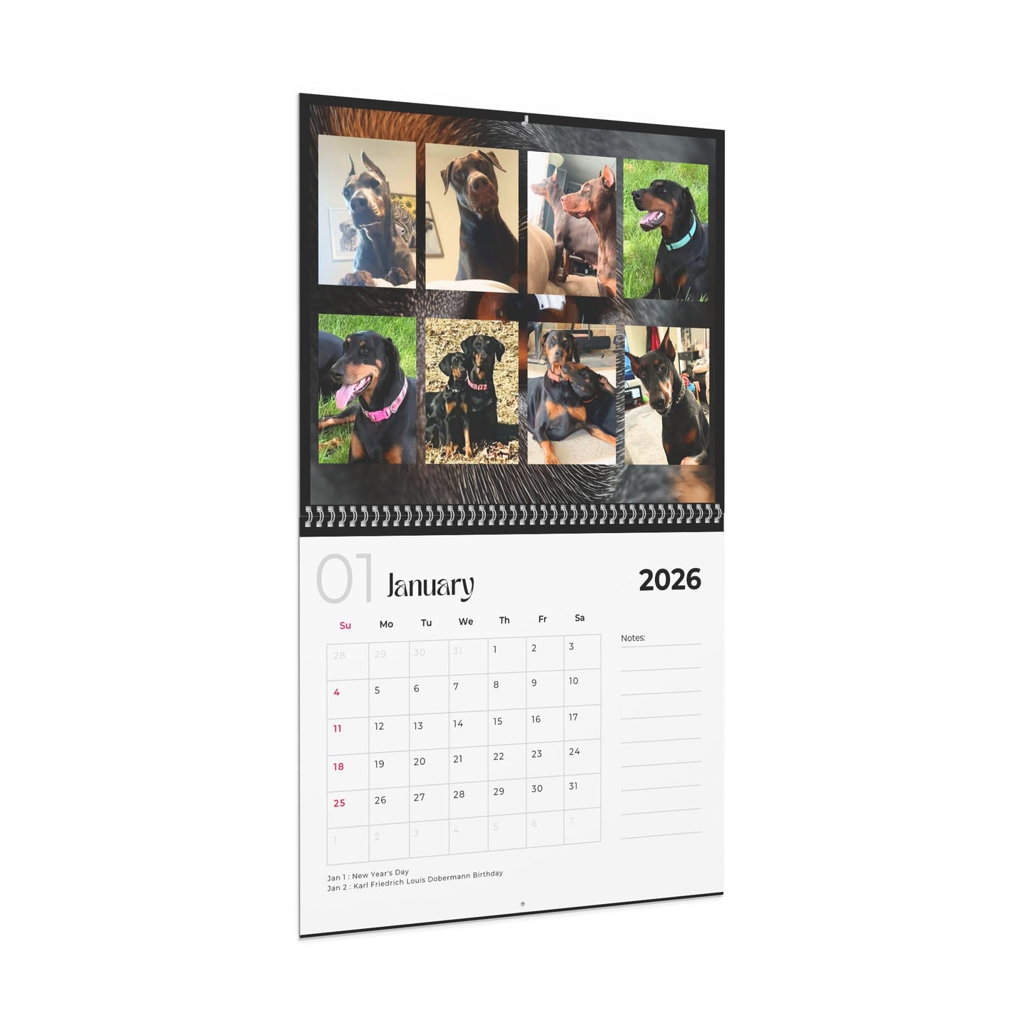 Edition 5 2026 Doberman Calendars