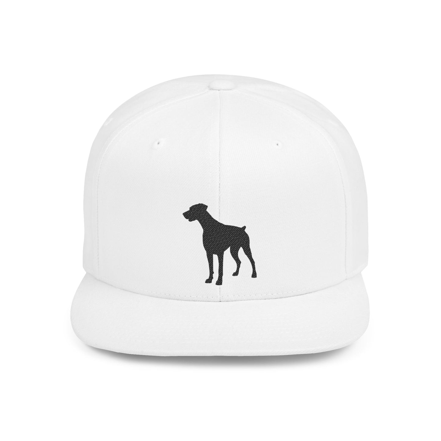Silhouette 2 Embroidered Flat Bill Snapback