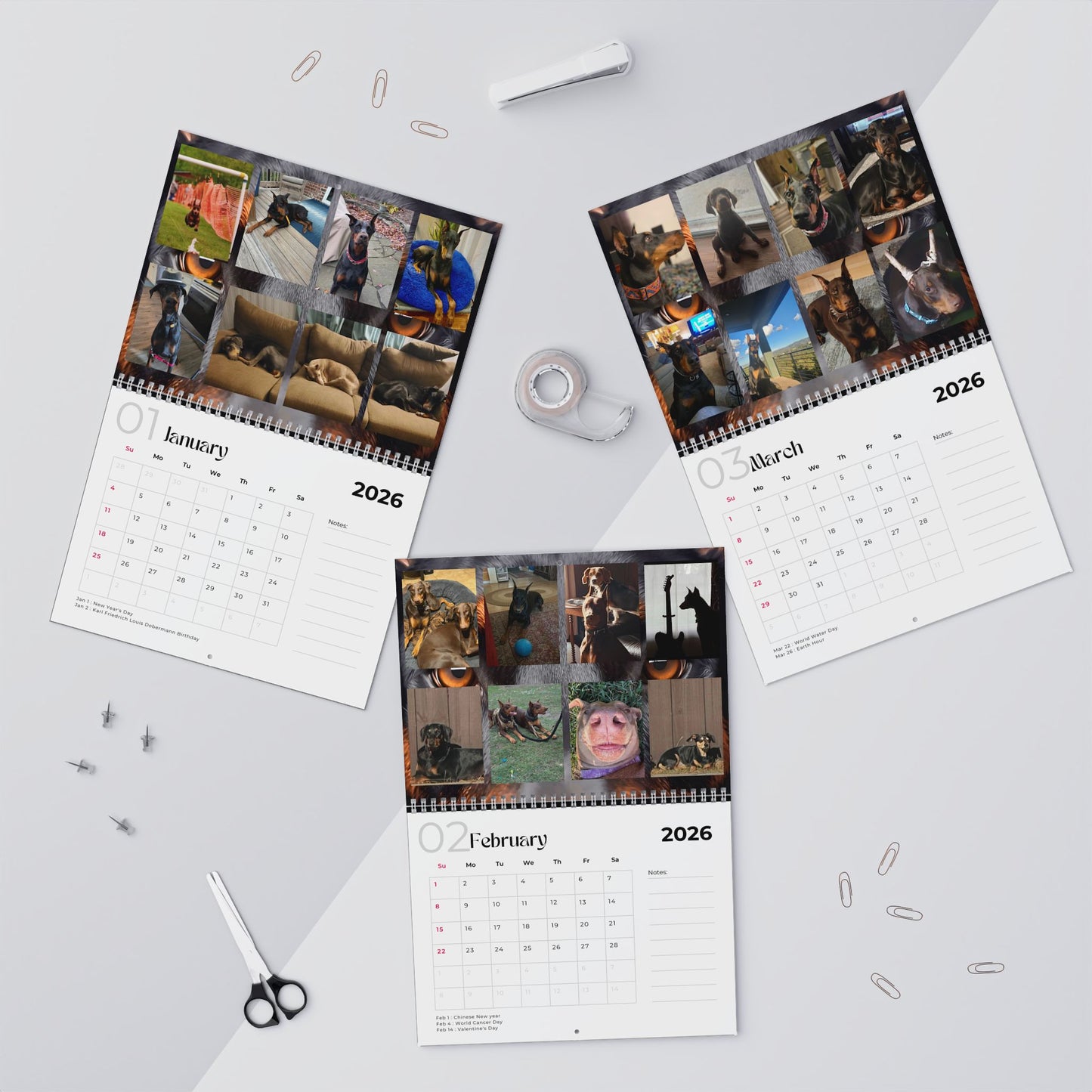 Edition 19 2026 Doberman Calendars
