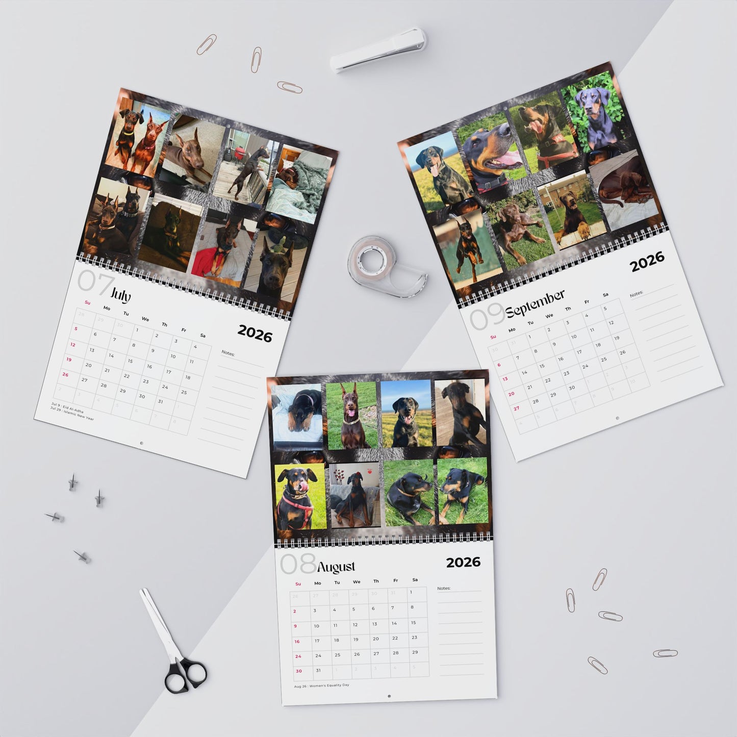 Edition 15 2026 Doberman Calendars