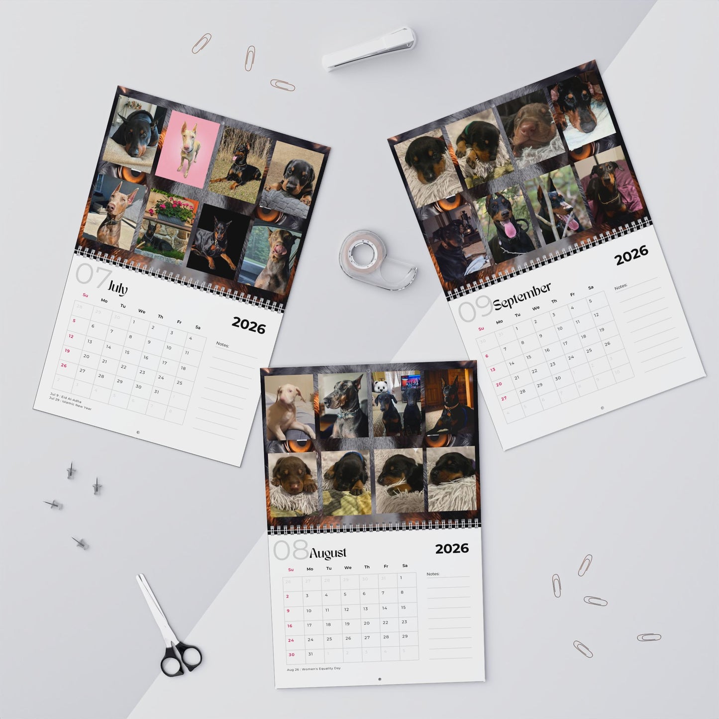 Edition 19 2026 Doberman Calendars