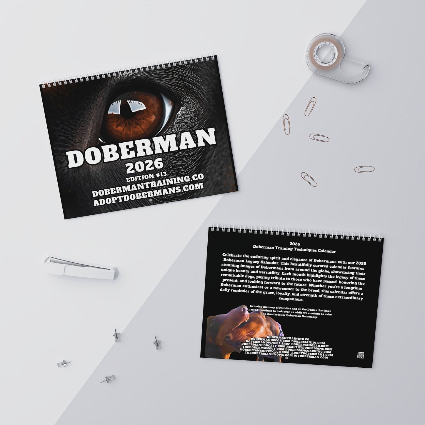 Edition 13 2026 Doberman Calendars