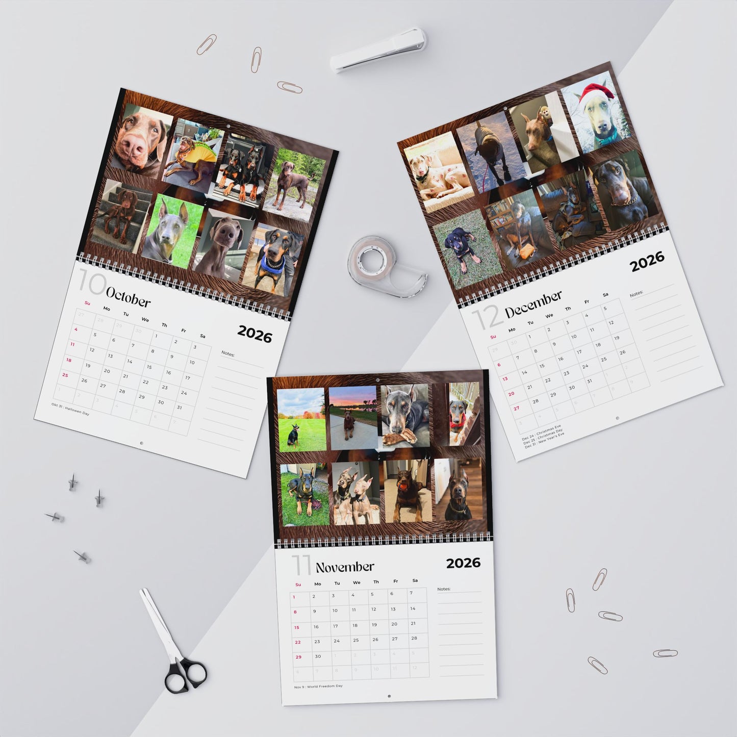 Edition 10 2026 Doberman Calendars
