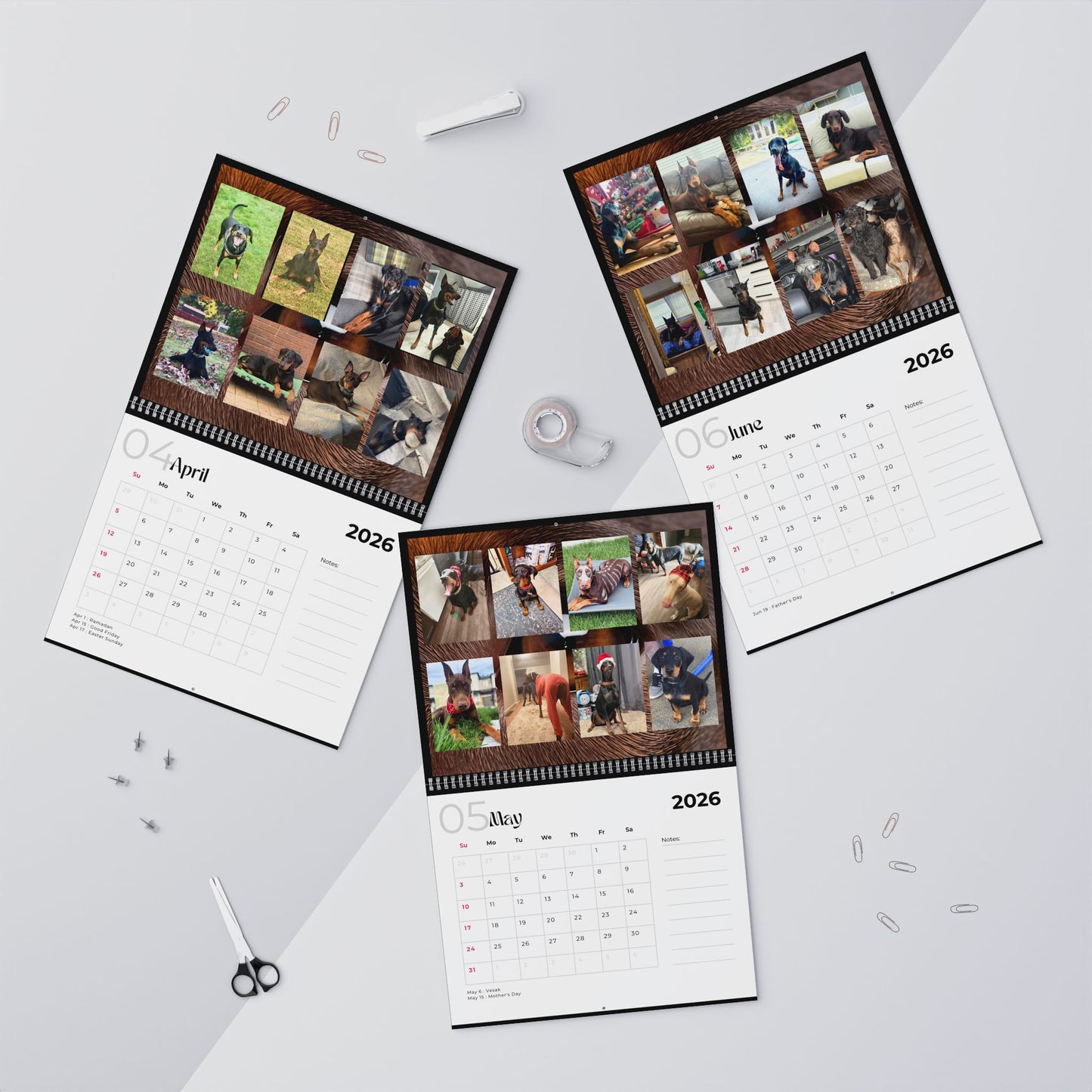 Edition 11 2026 Doberman Calendars