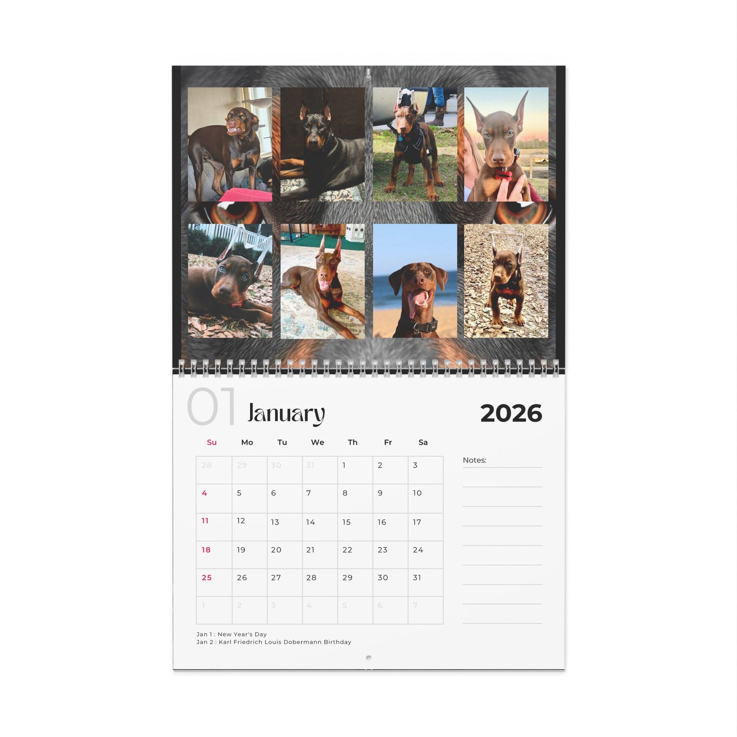 Edition 32 2026 Doberman Calendars