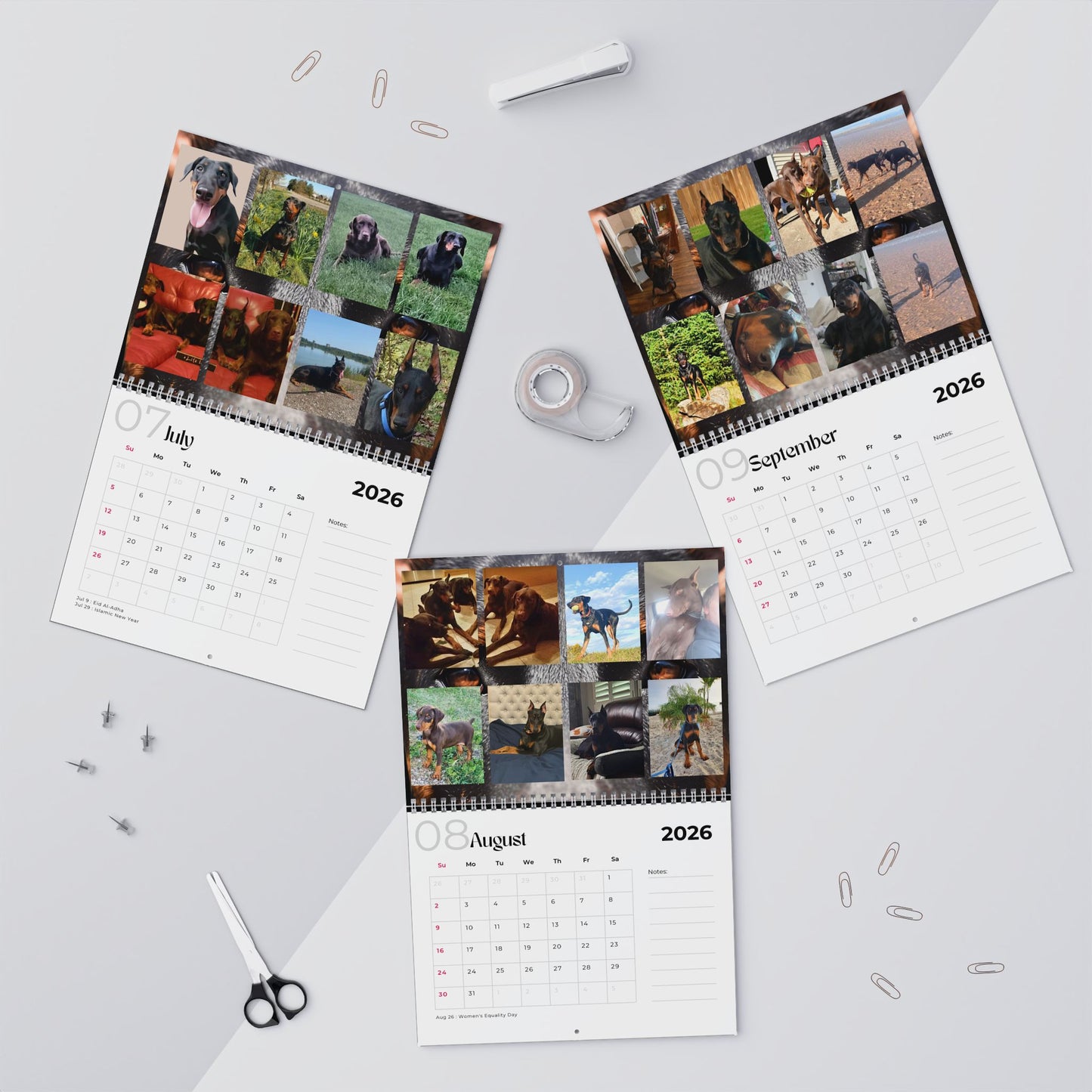 Edition 17 2026 Doberman Calendars