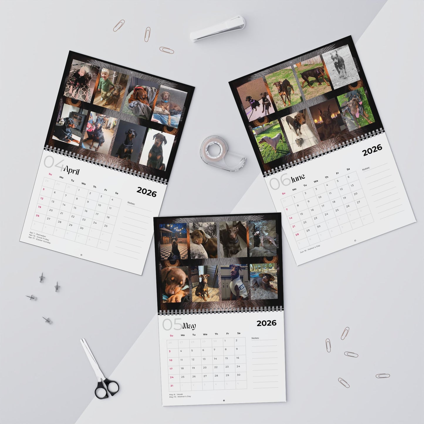 Edition 34 2026 Doberman Calendars