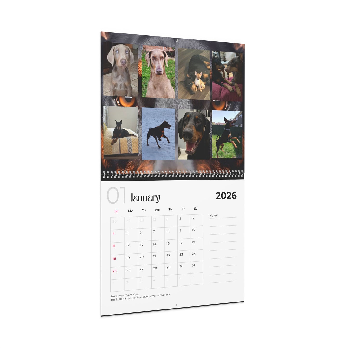 Edition 18 2026 Doberman Calendars