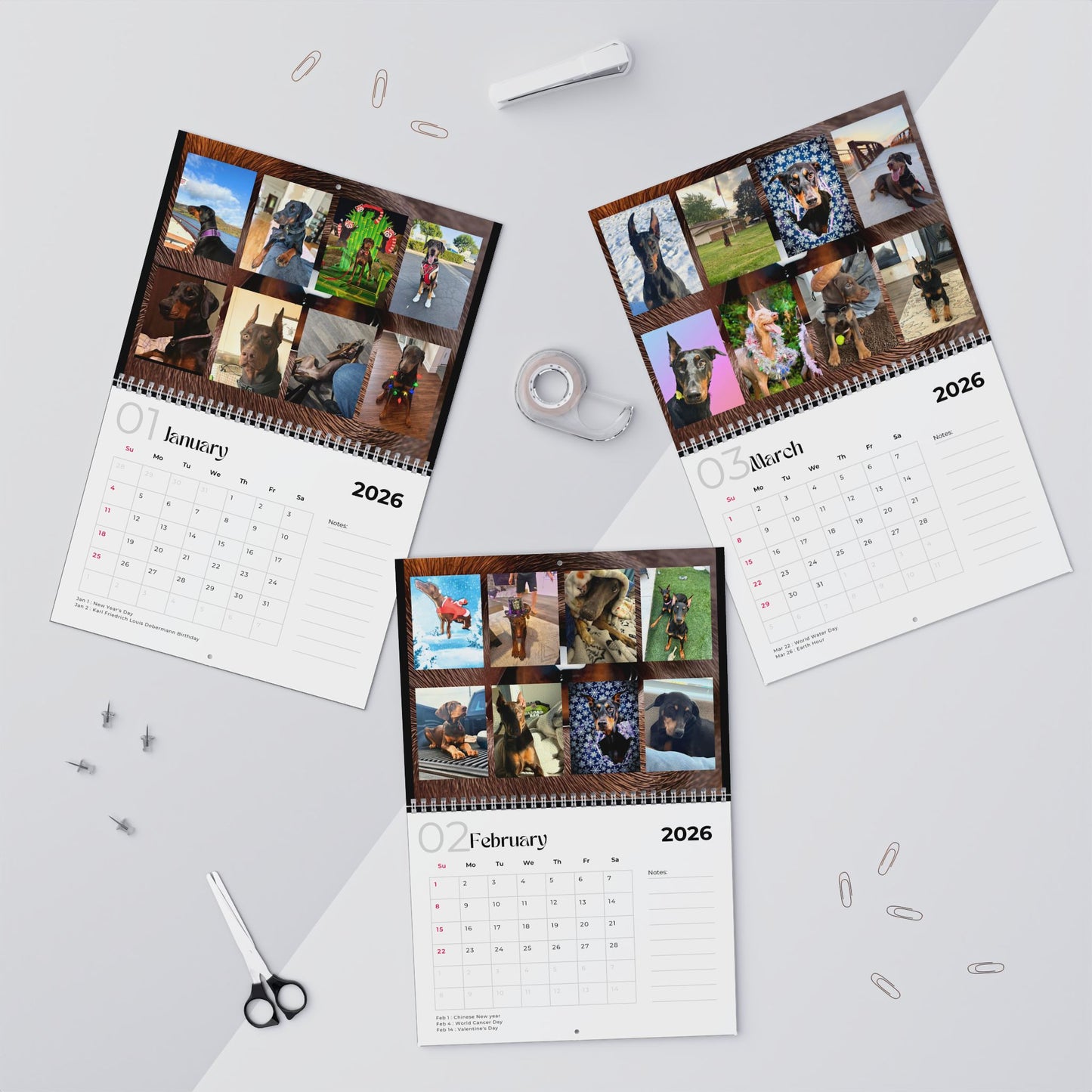 Edition 10 2026 Doberman Calendars