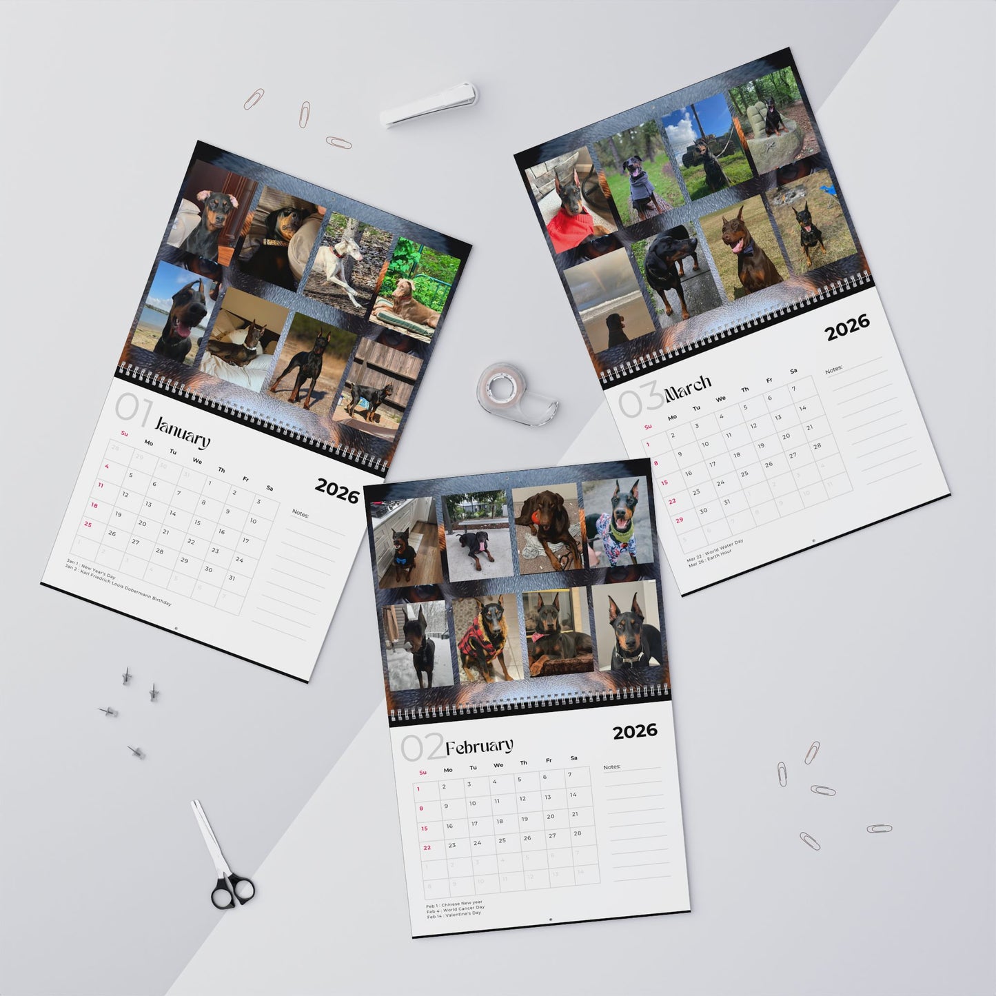 Edition 23 2026 Doberman Calendars