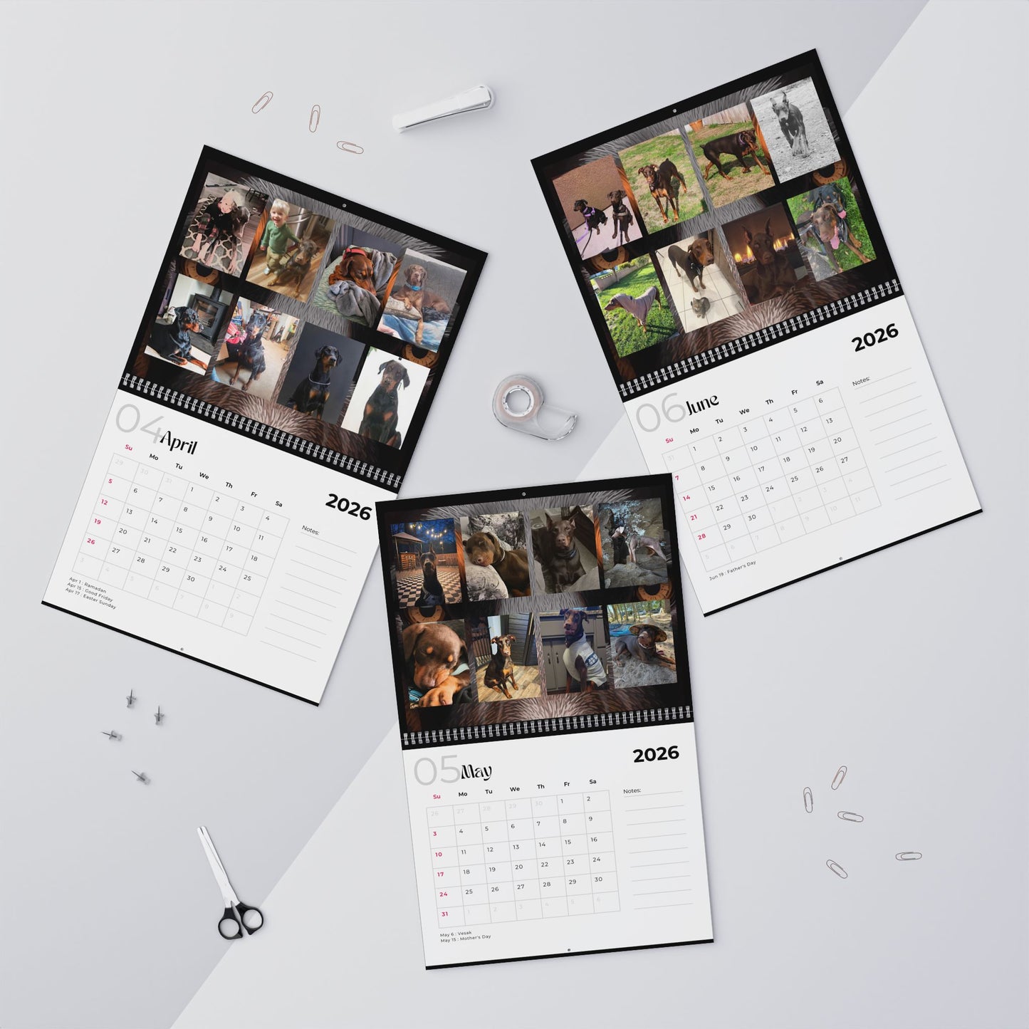 Edition 34 2026 Doberman Calendars