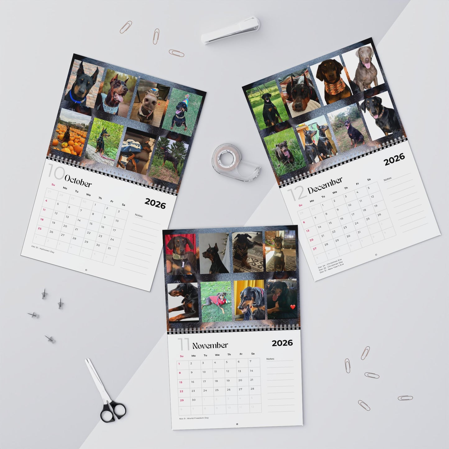 Edition 23 2026 Doberman Calendars
