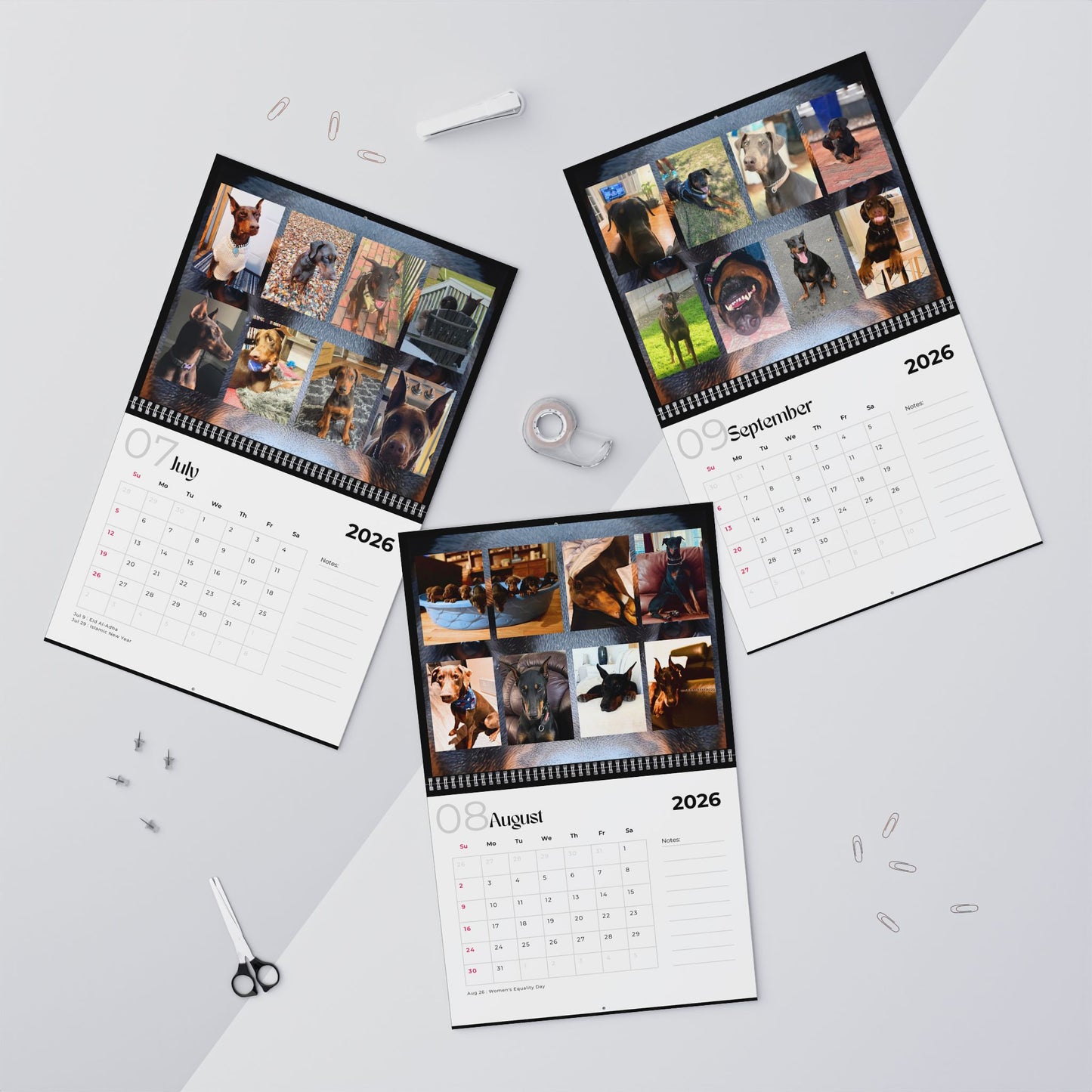 Edition 24 2026 Doberman Calendars