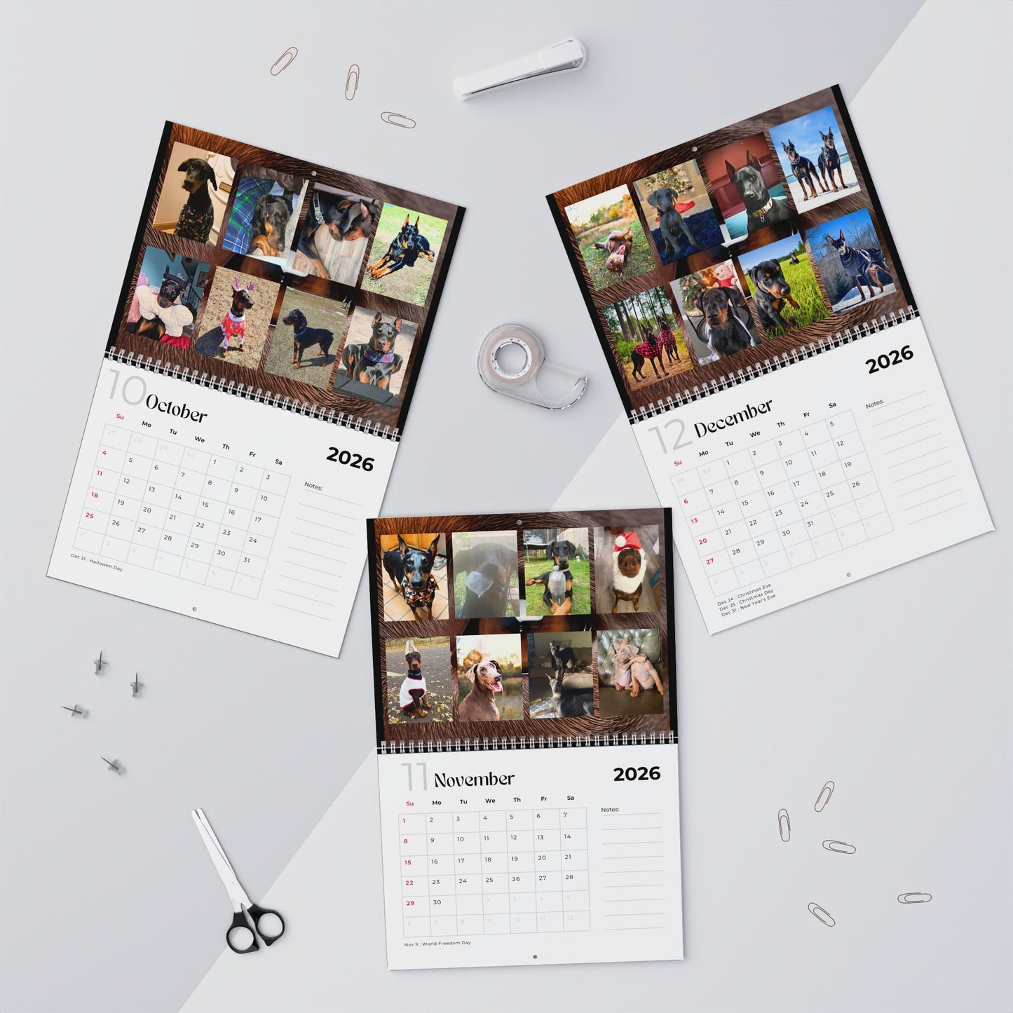 Edition 11 2026 Doberman Calendars