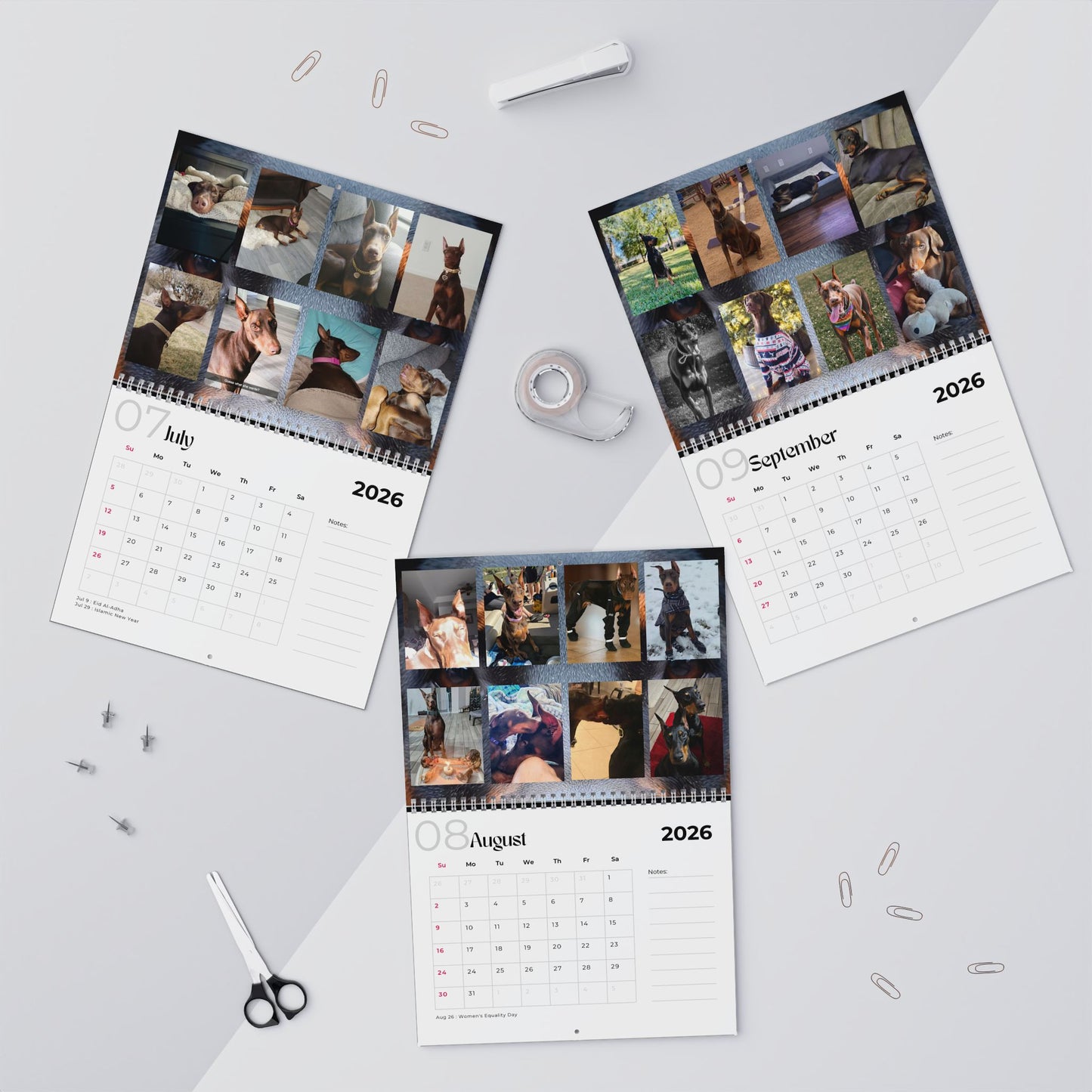 Edition 23 2026 Doberman Calendars