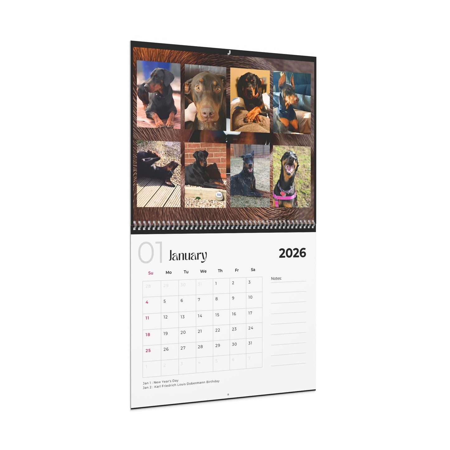 Edition 8 2026 Doberman Calendars