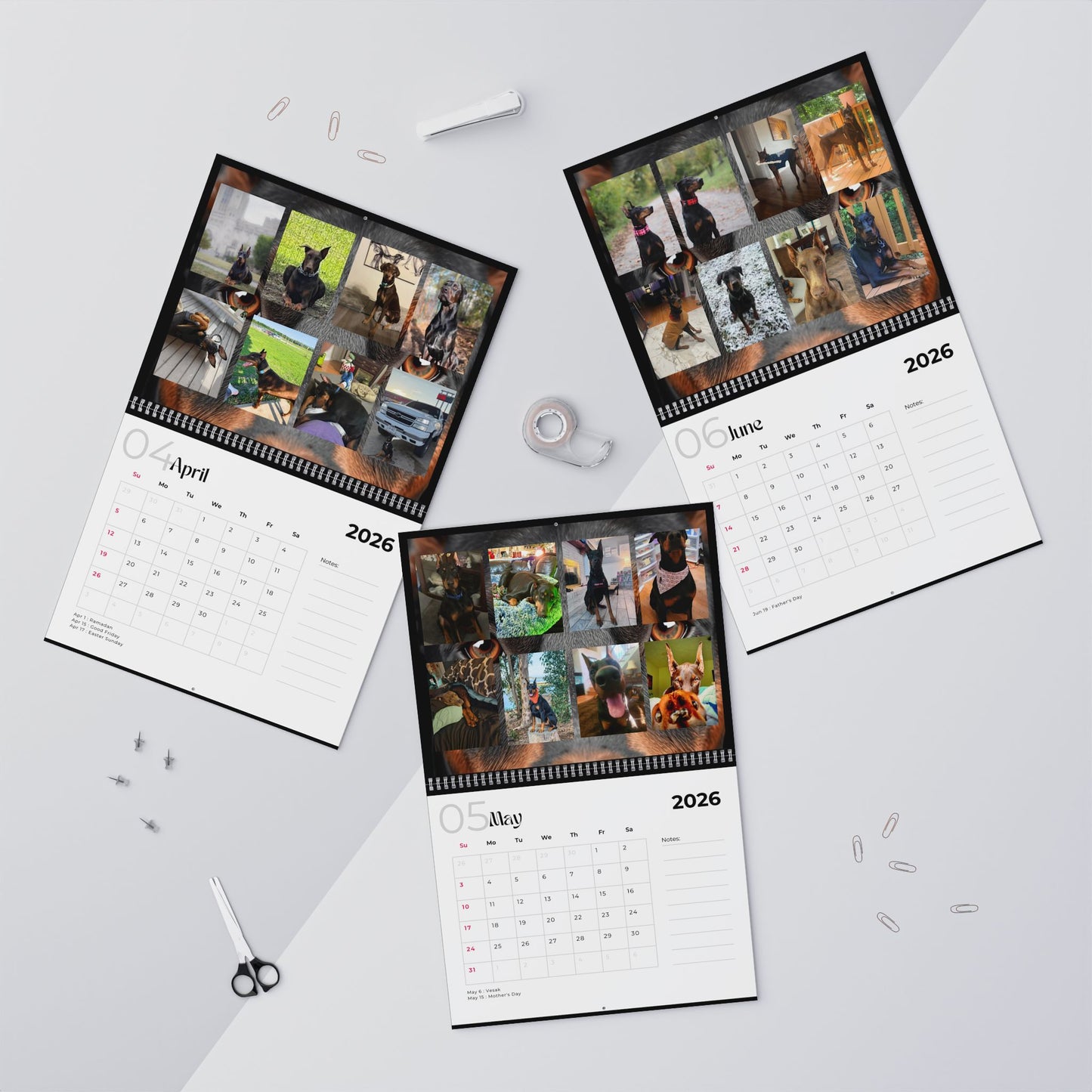 Edition 28 2026 Doberman Calendars