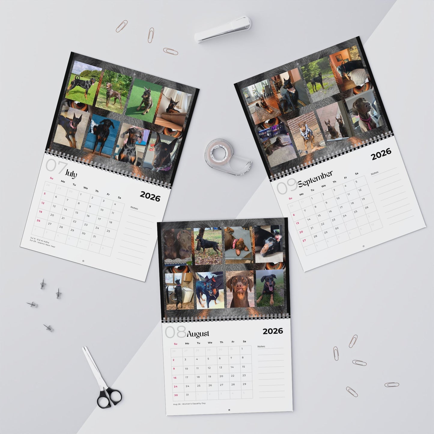 Edition 29 2026 Doberman Calendars