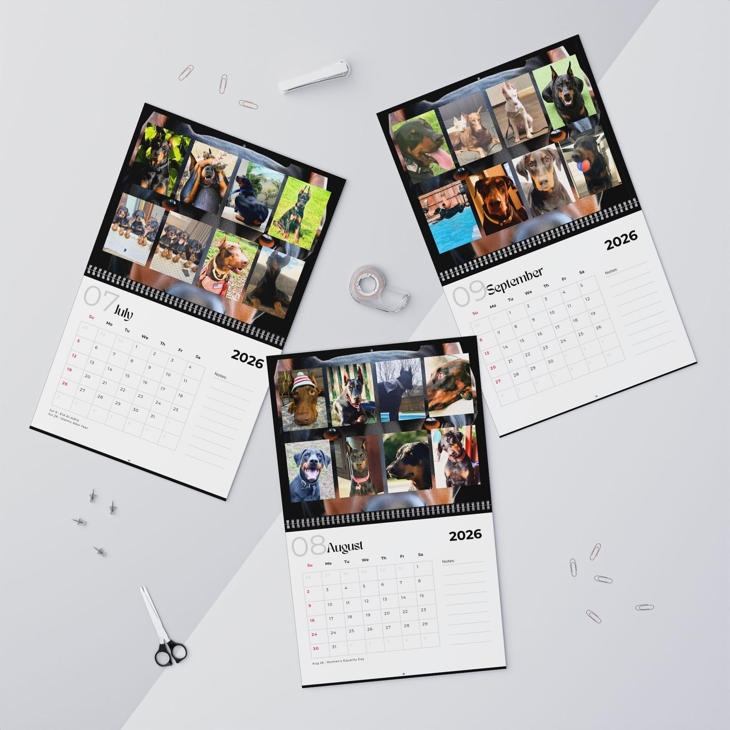 Edition 2 2026 Doberman Calendars