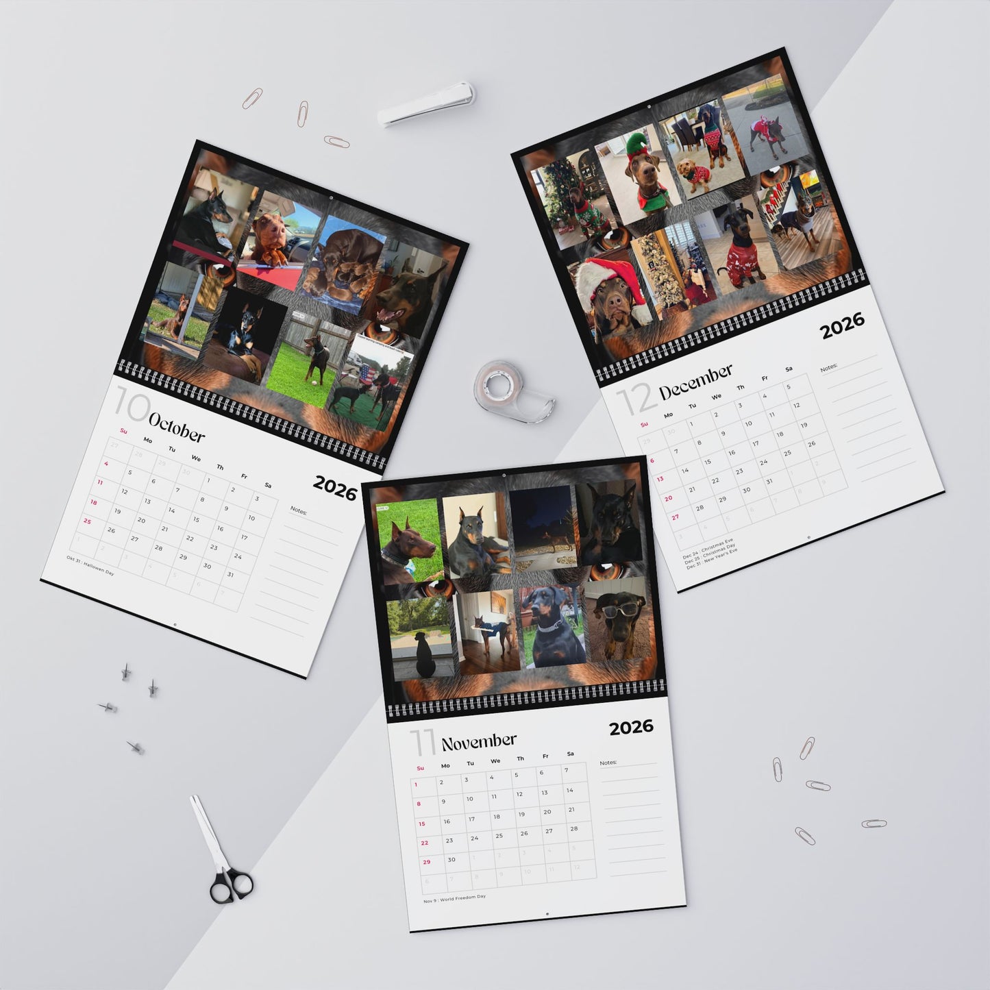 Edition 27 2026 Doberman Calendars