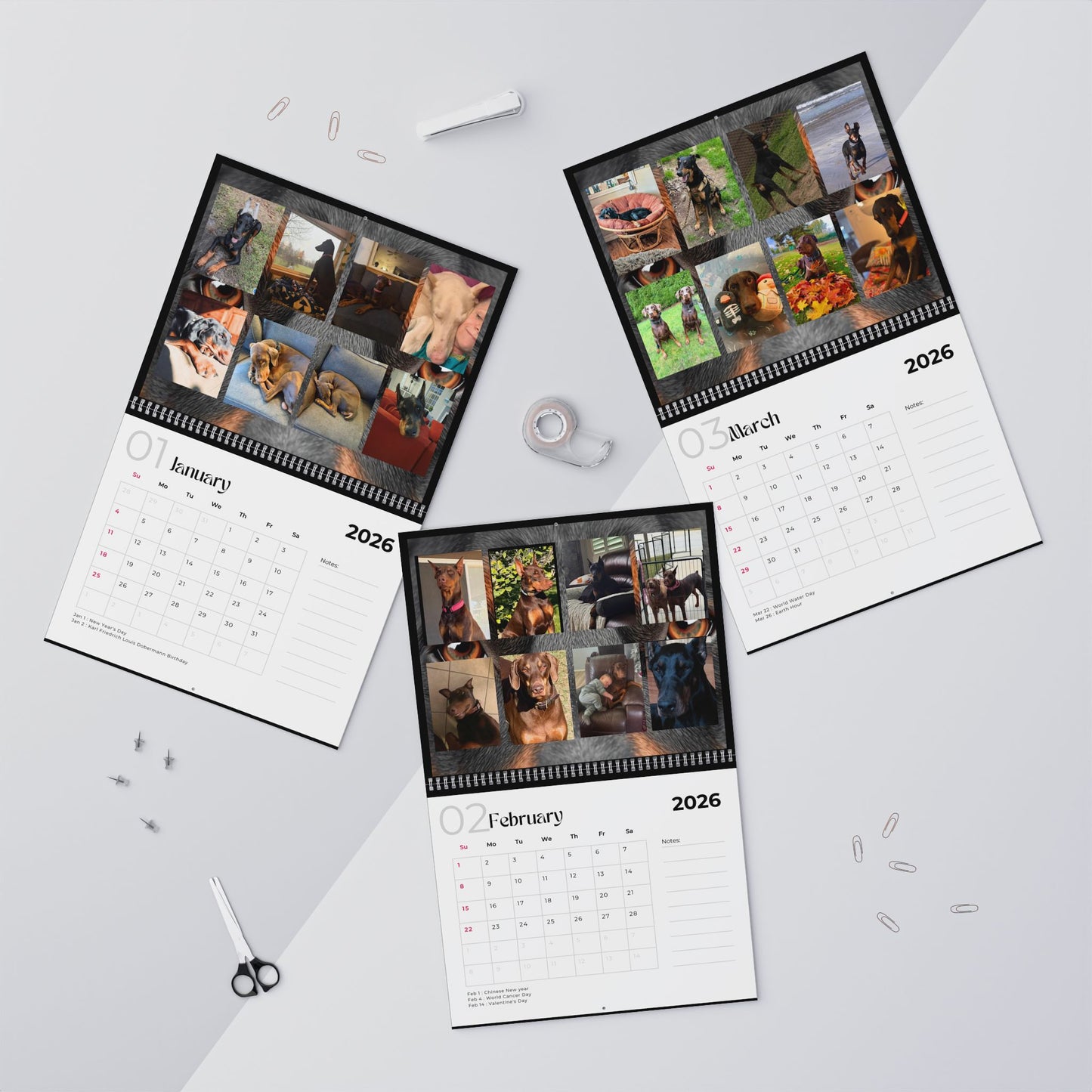 Edition 31 2026 Doberman Calendars