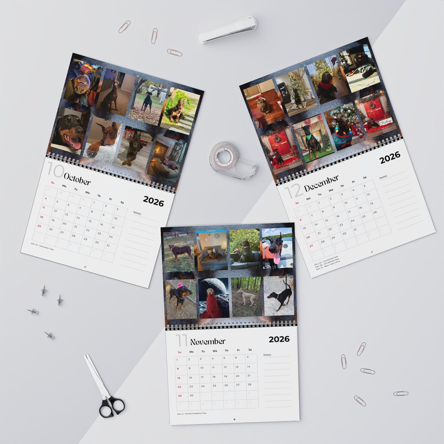 Edition 22 2026 Doberman Calendars