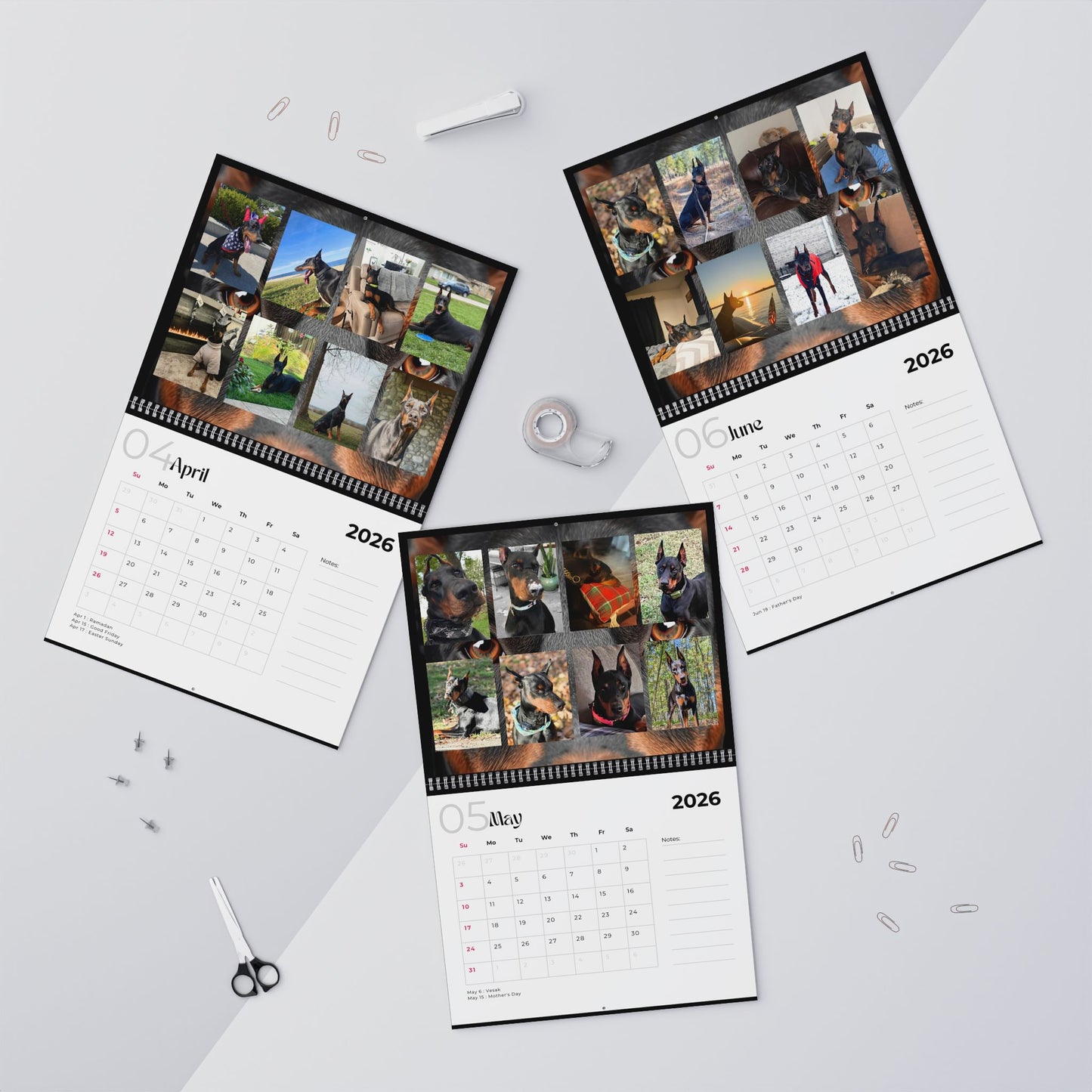 Edition 26 2026 Doberman Calendars