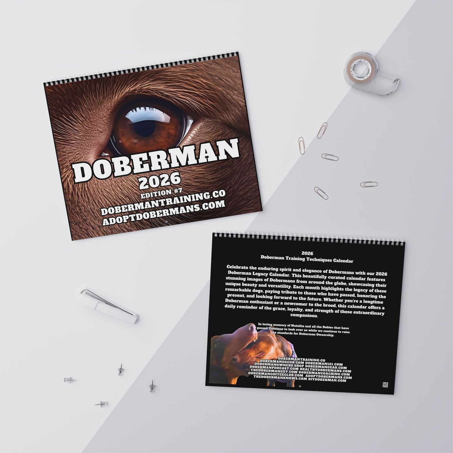 Doberman Edition 7  Wall Calendar 2026