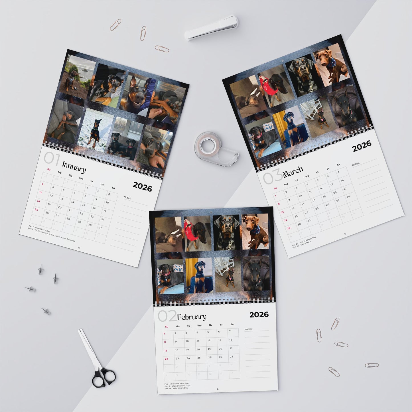 Edition 24 2026 Doberman Calendars