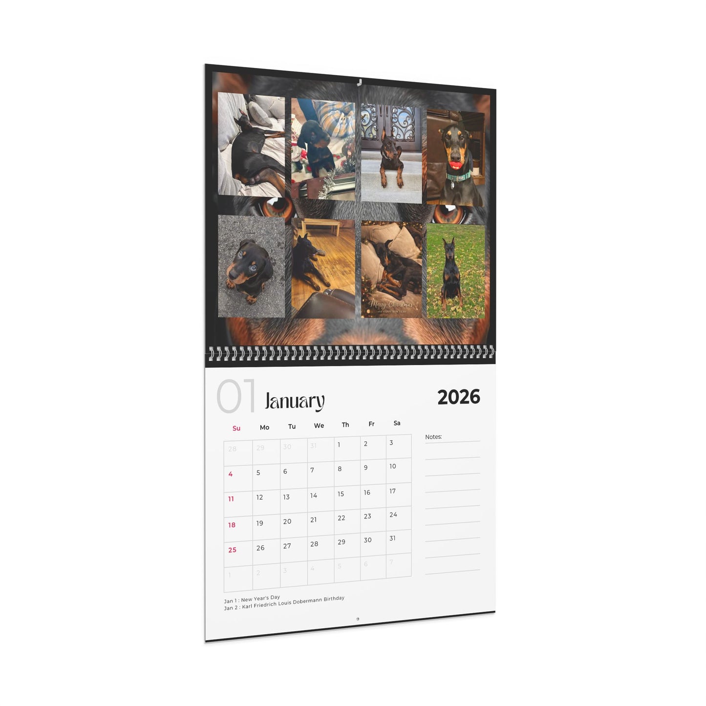 Edition 28 2026 Doberman Calendars