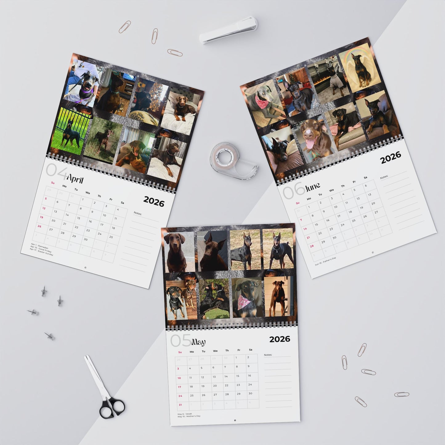 Edition 17 2026 Doberman Calendars