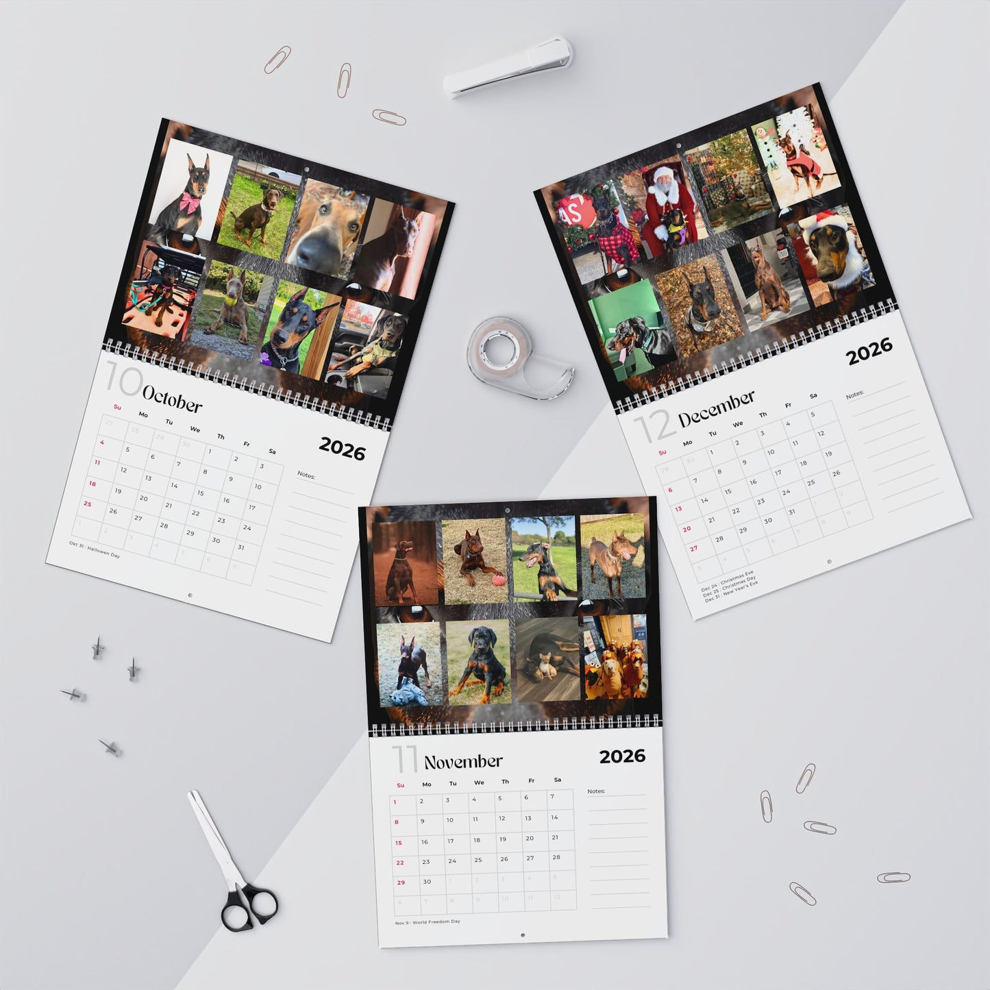 Edition 14 2026 Doberman Calendars