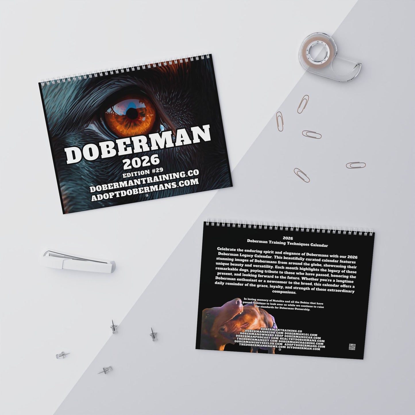 Edition 29 2026 Doberman Calendars