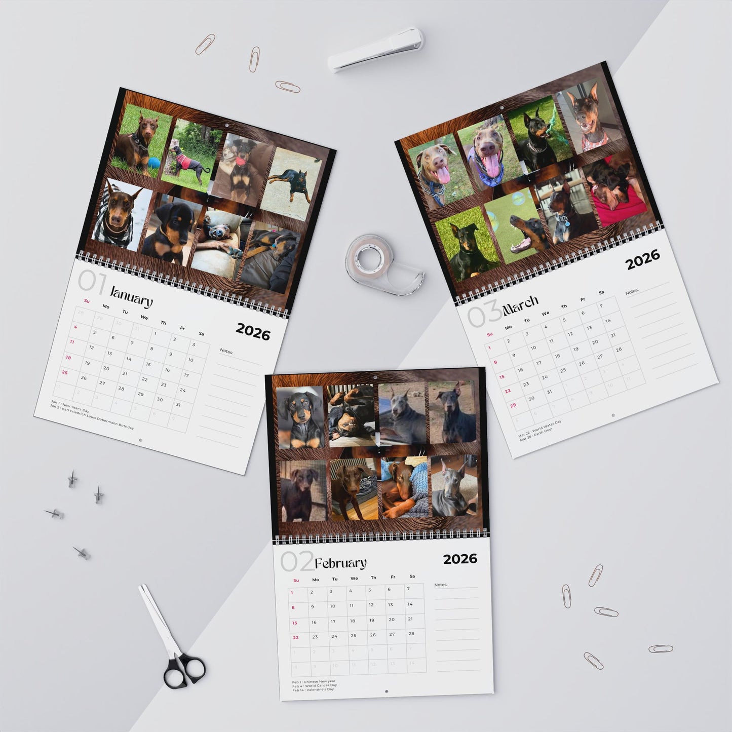 Edition 6 2026 Doberman Calendars