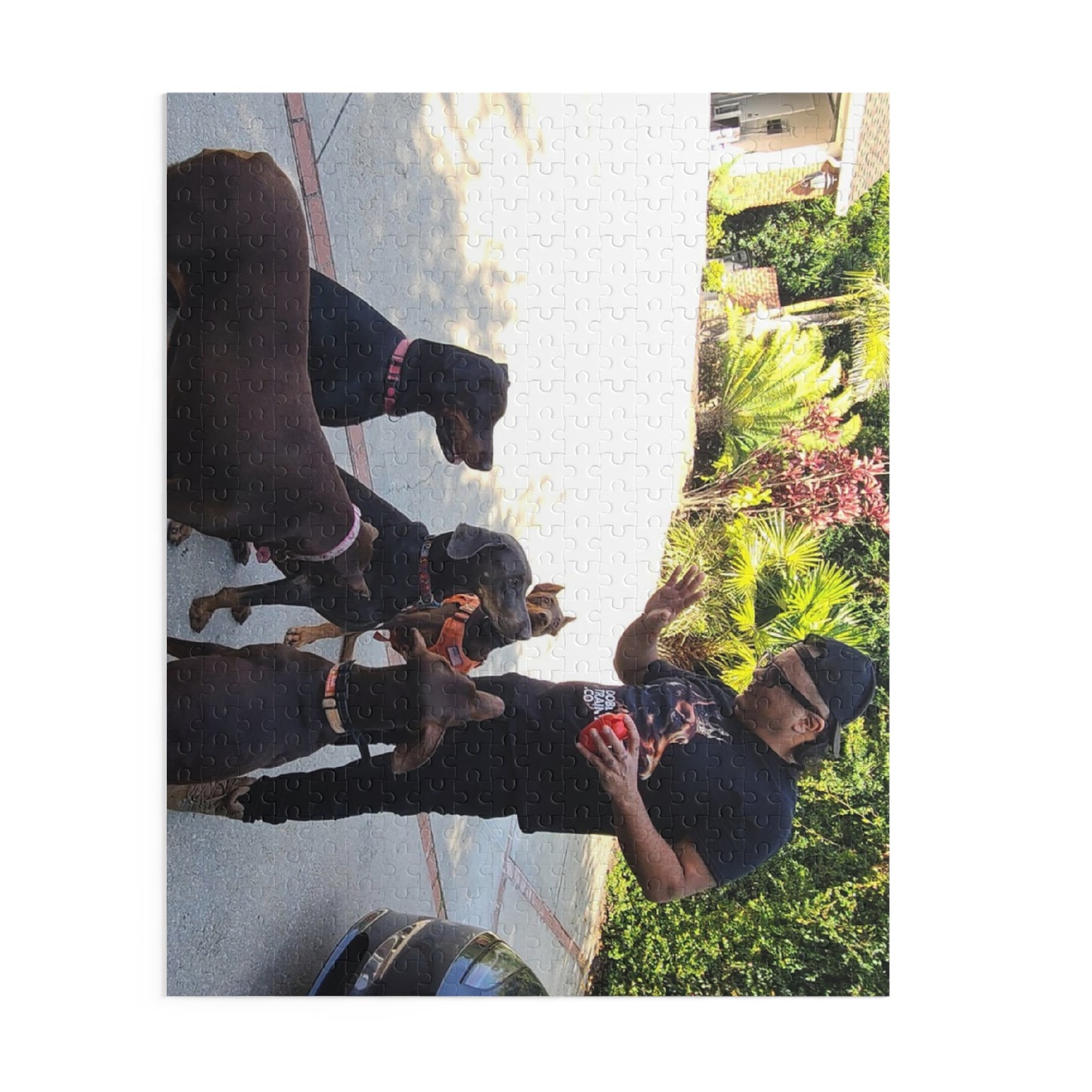 Personalized Photo Puzzle (120/252/500-Piece)