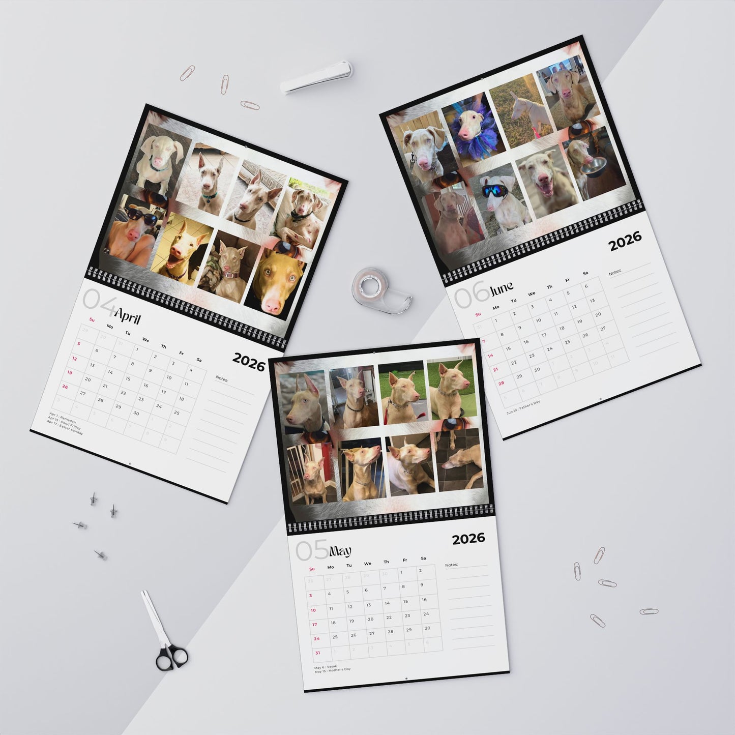 Edition 25 2026 Doberman Calendars