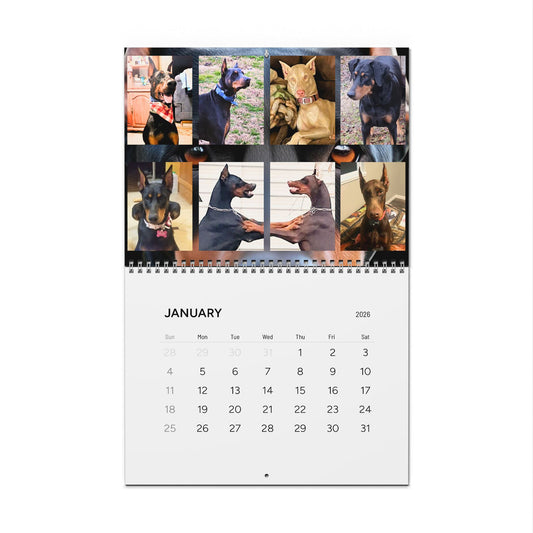 Doberman Edition 1 (International Shipping)Wall Calendar 2026