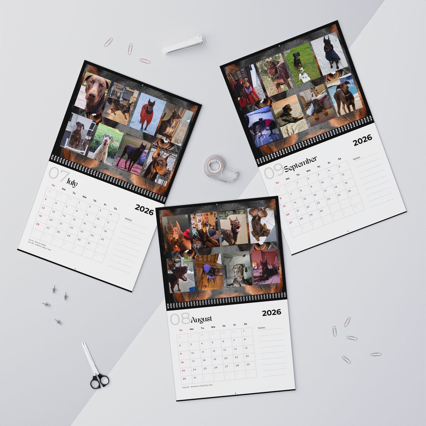 Edition 28 2026 Doberman Calendars