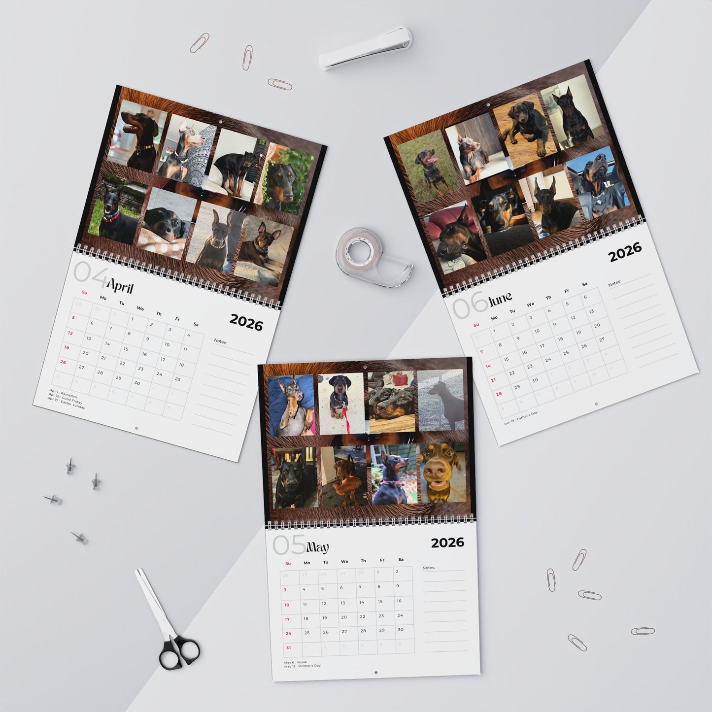 Edition 6 2026 Doberman Calendars