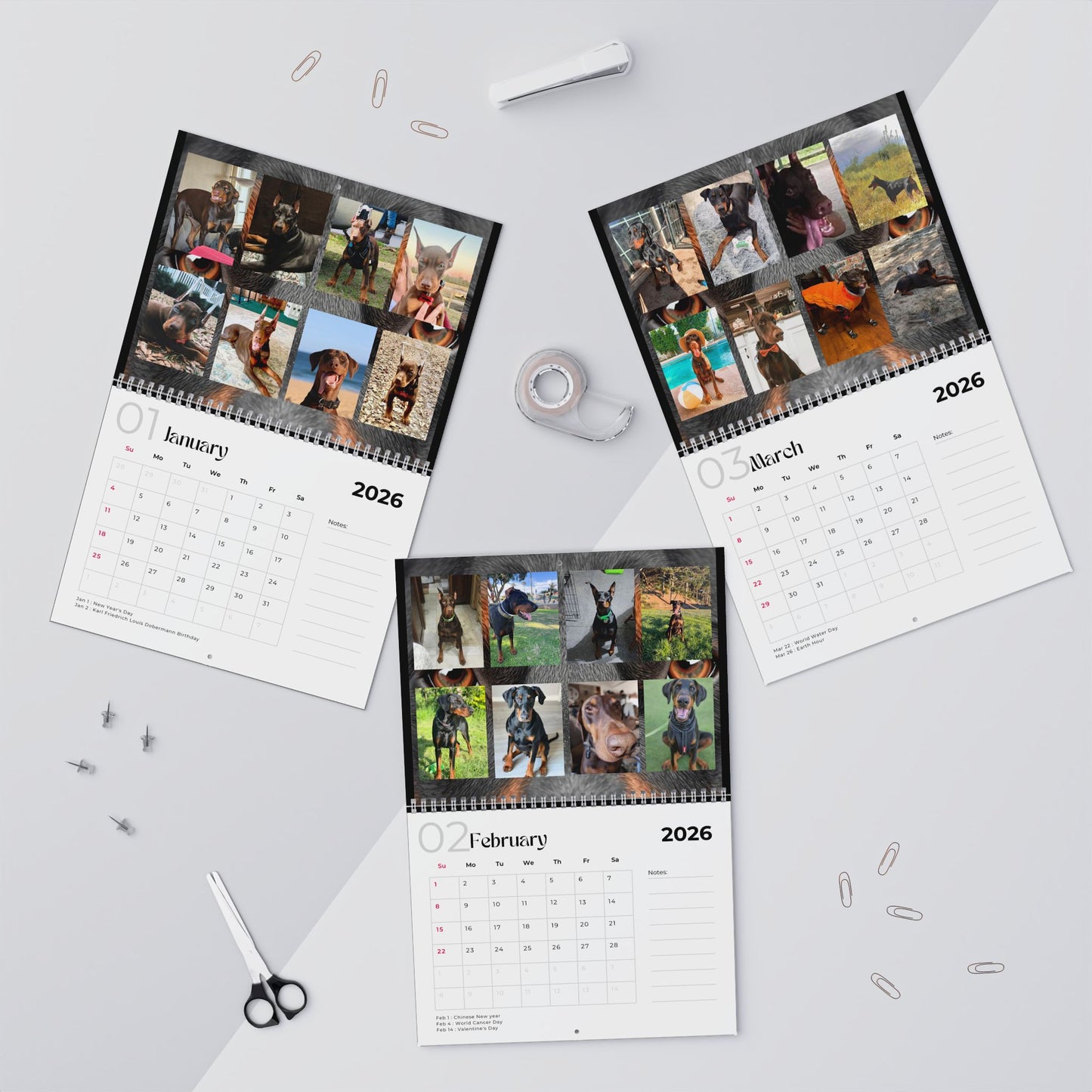 Edition 32 2026 Doberman Calendars